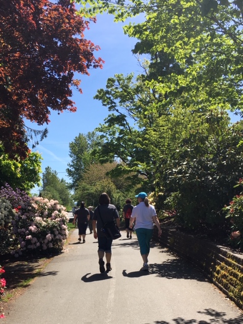 Walk With Your Doc 2019 - Courtenay