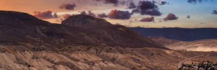 Ashcroft Sunset Annual Report 2024/25