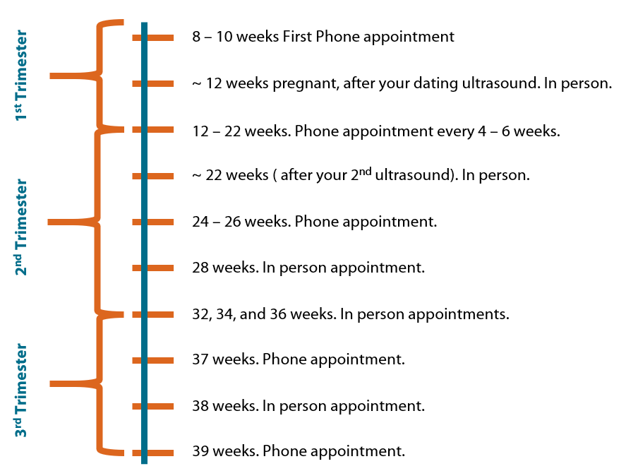 Trimester Pregnancy Healthcare Timeline - Venngage