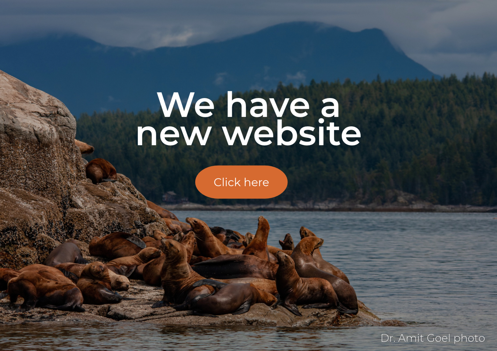 Campbell River Division of Family Practice