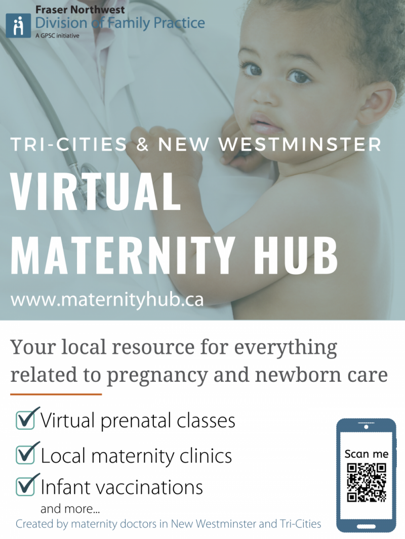 Virtual Maternity Hub Poster.png