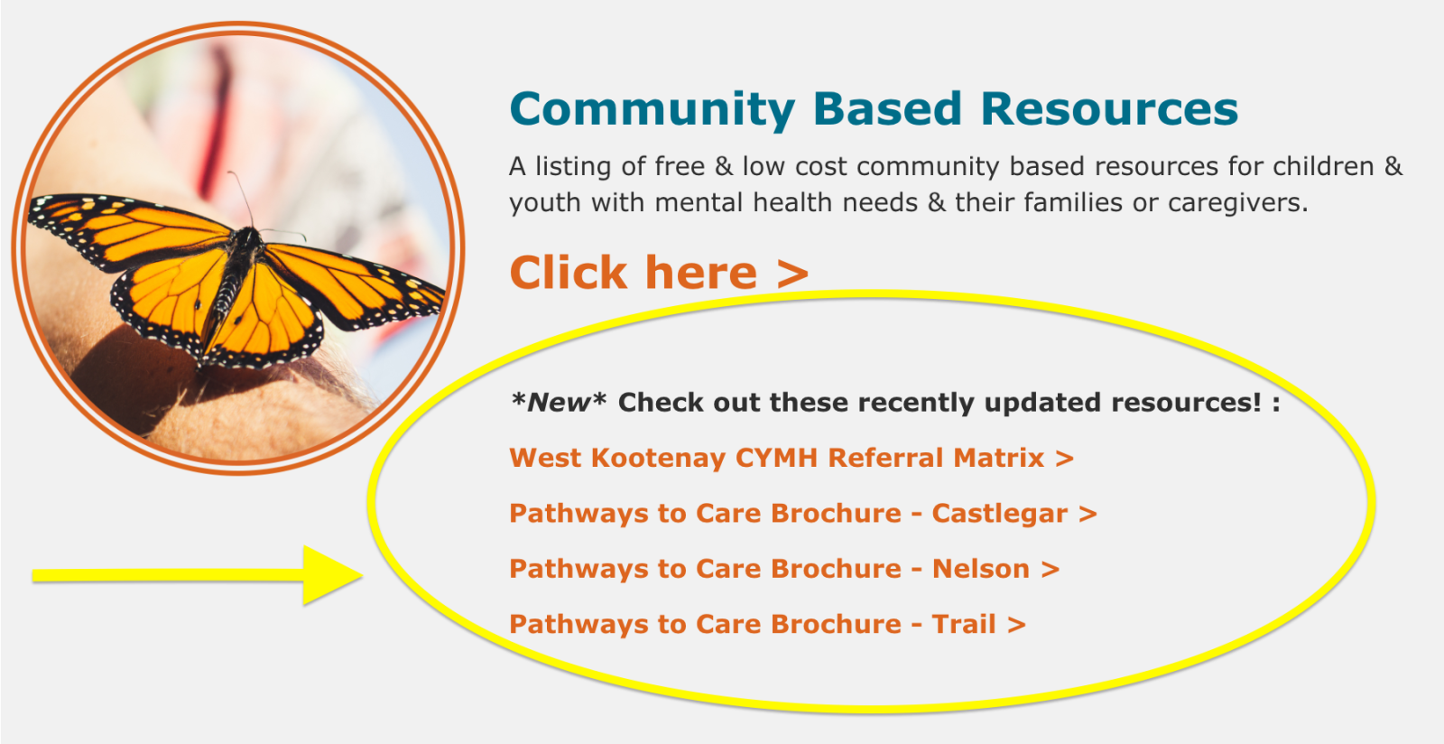 Screenshot of web page with arrow pointing to circled resources