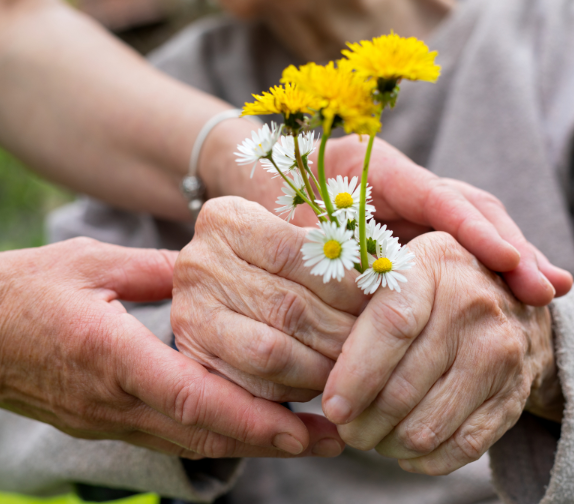 two pairs of hands: one elderly, one not, hold a small bunch of white and yellow wildflowers