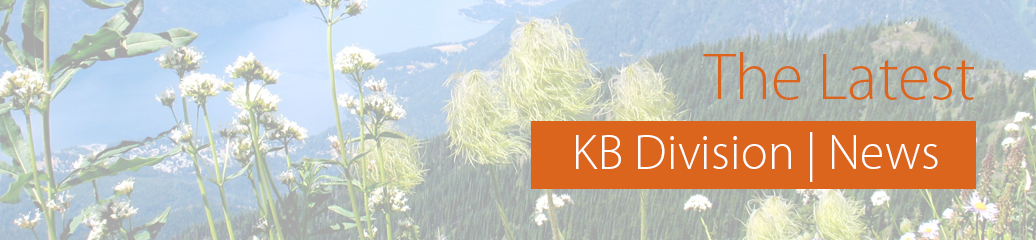KB Division News