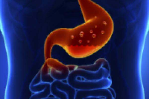Internal image of human body
