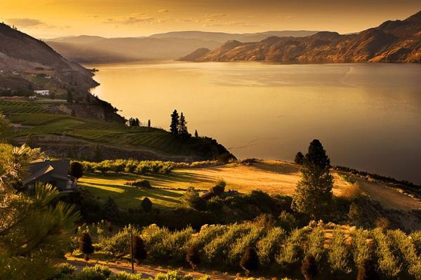 Summerland photo