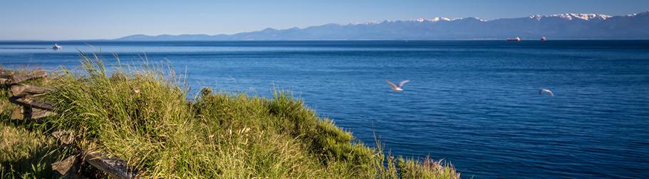 Victoria shore by Dallas road with Olympic mountain range view